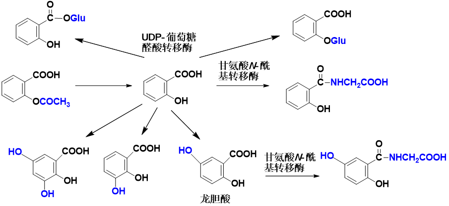 03 学院动态 (2)阿司匹林的化学名,结构,理化性质(不稳定性:酯基